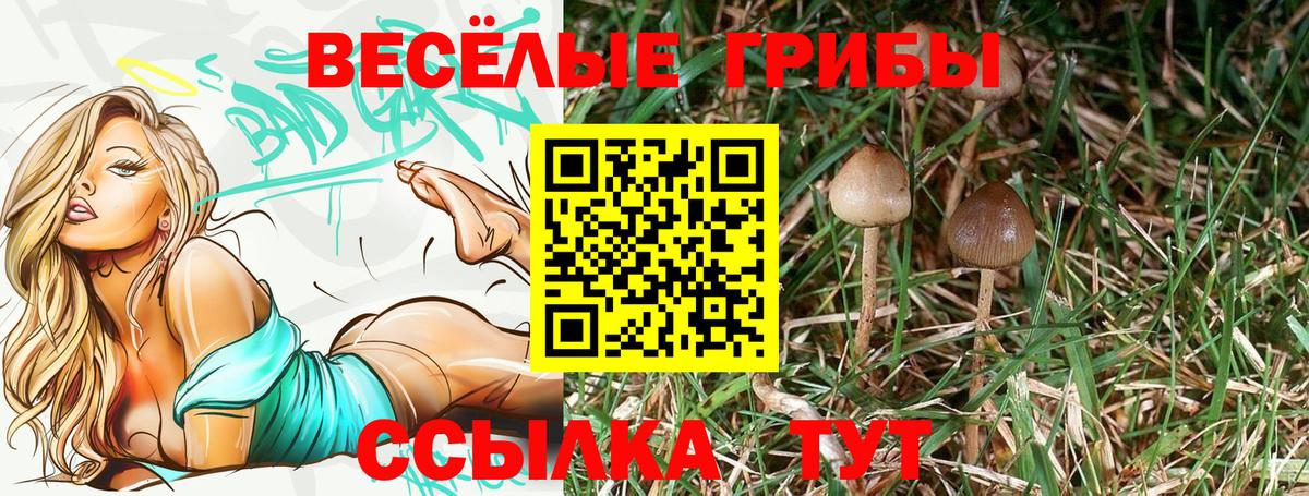 Галлюциногенные грибы прущие грибы  Галлюциногенные грибы прущие грибы  Вход с VPN  Мариинск 